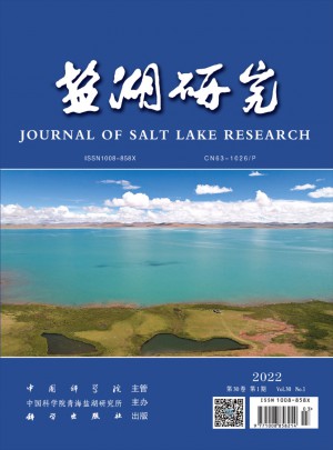 盐湖研究杂志 