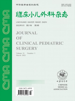 临床小儿外科杂志 